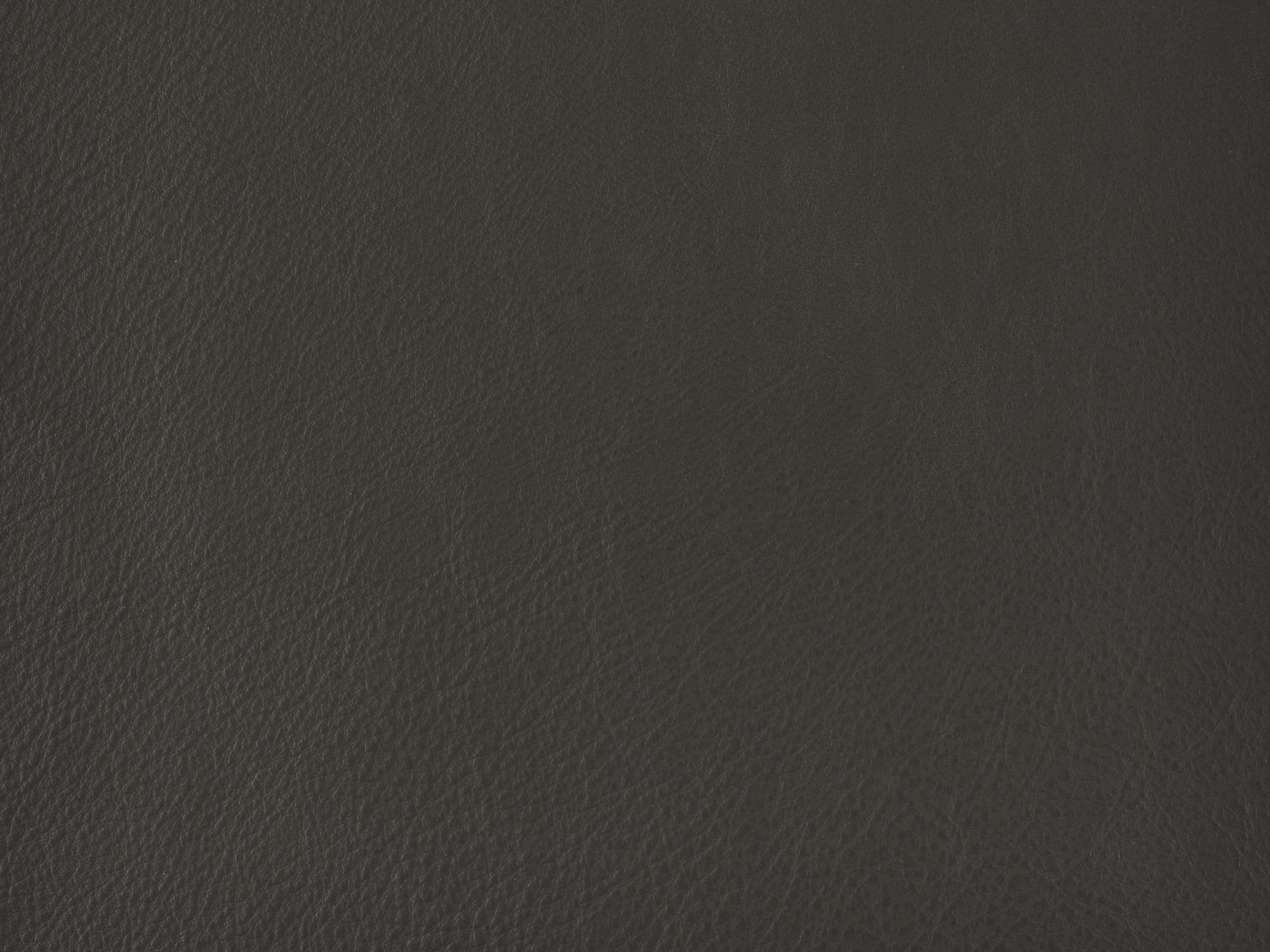 Product L-1004-12 image