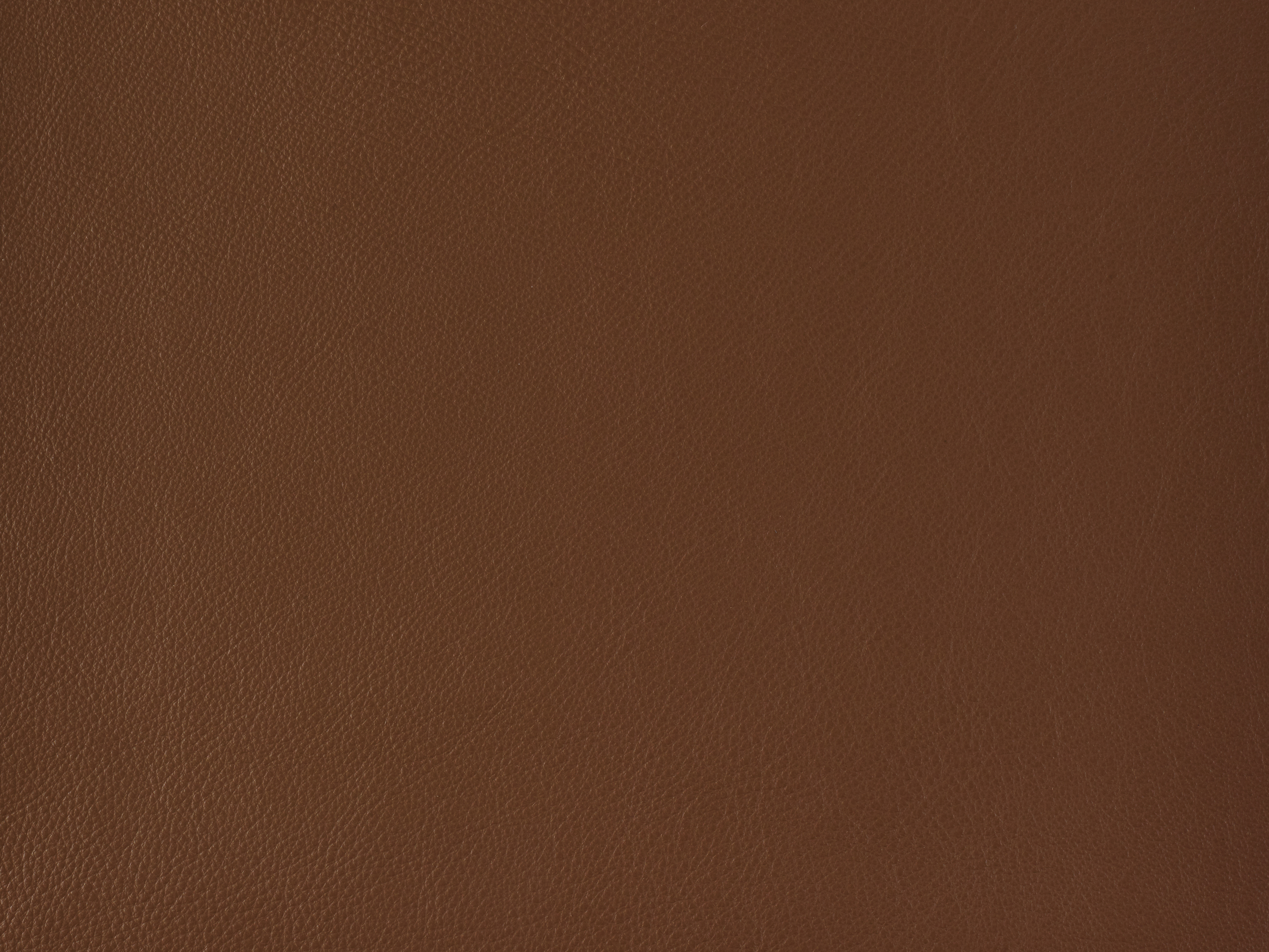 Product L-1004-16 image