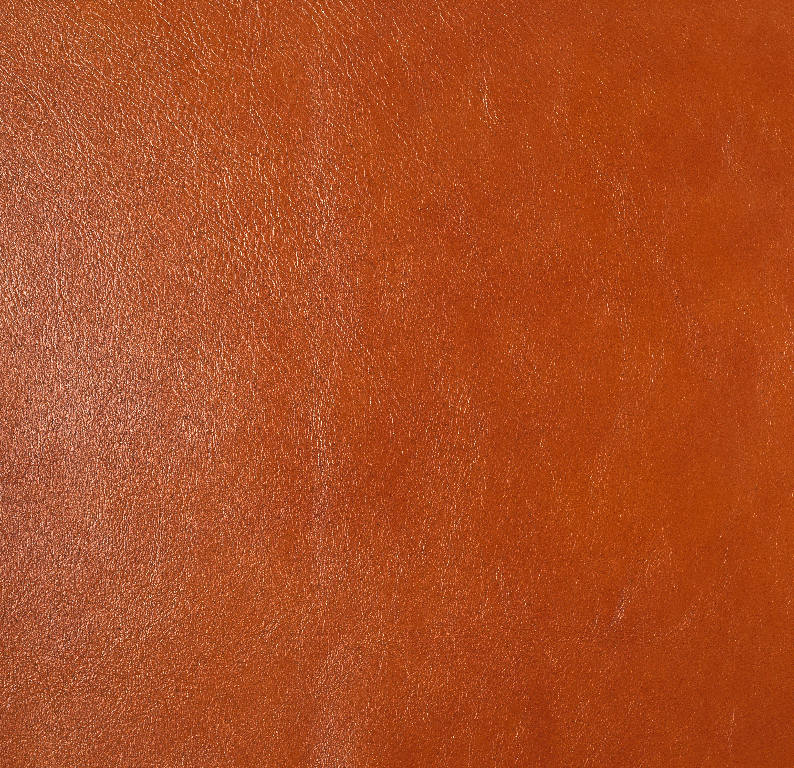 Product L-1008-22 image