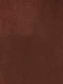 Product color L-1001-08 image
