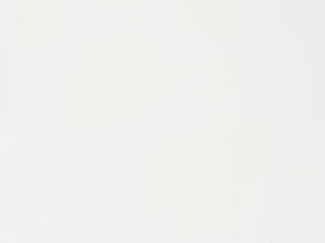 Product L-1004-07