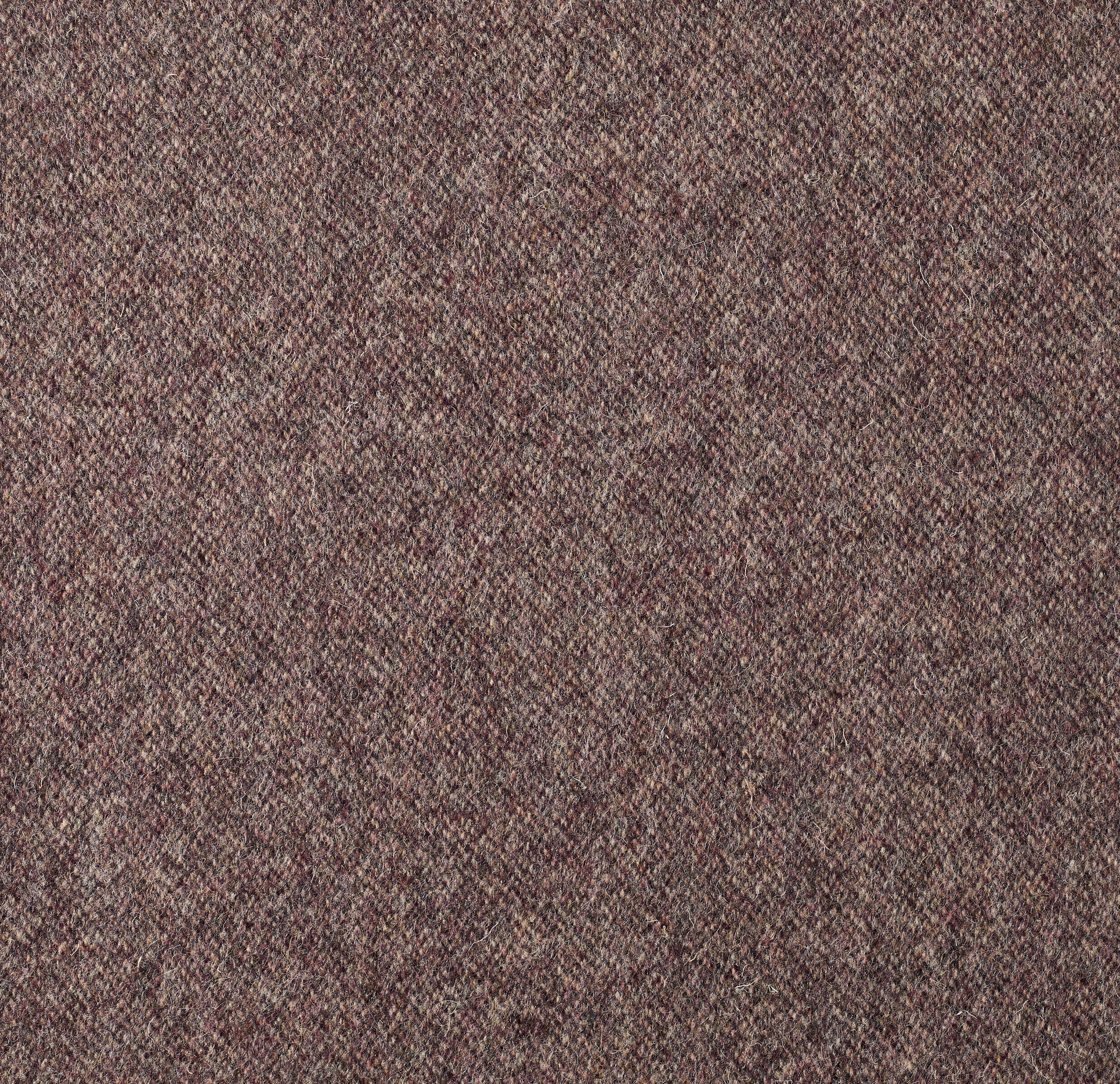 Product color 310003-02 image