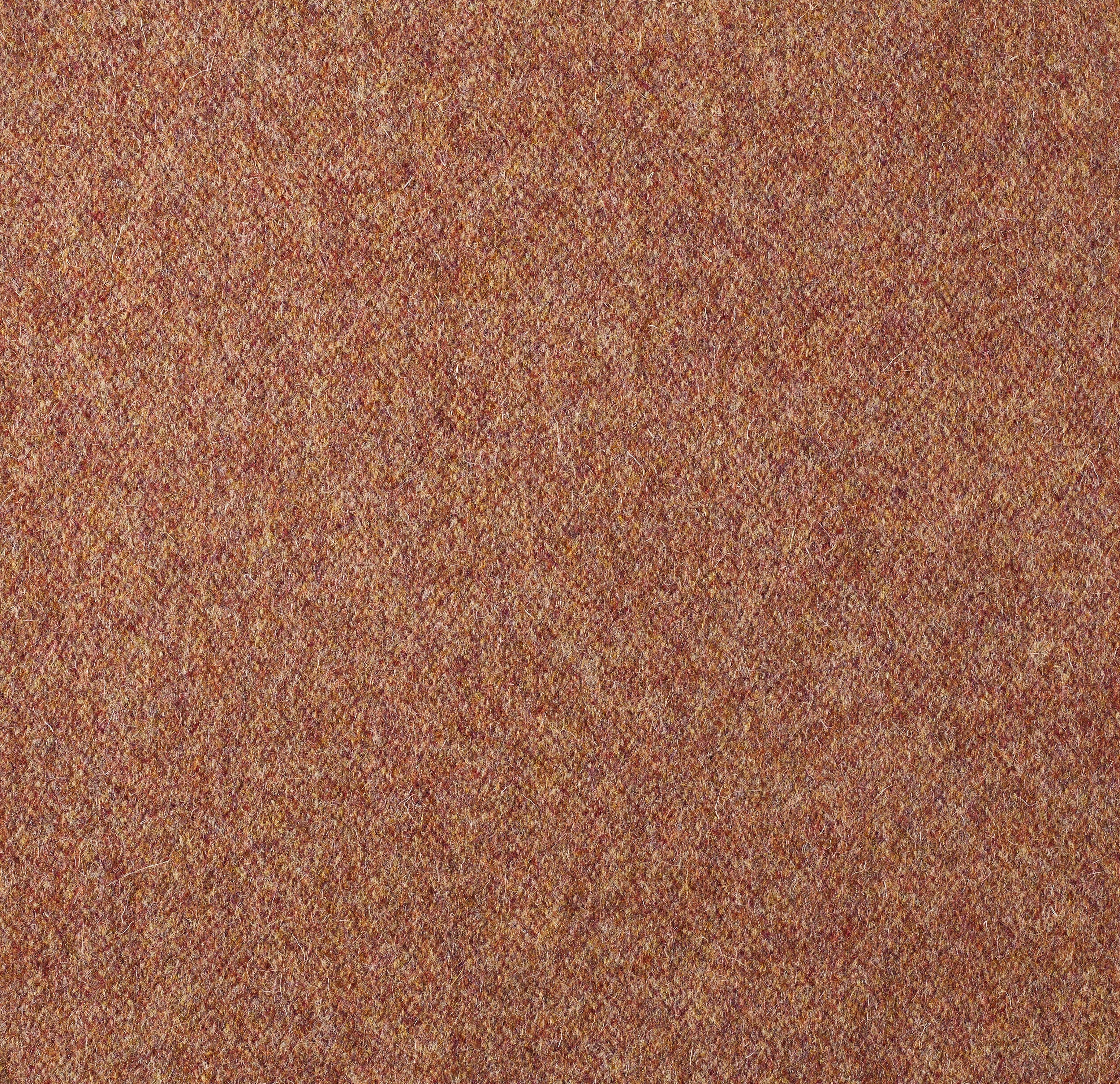 Product 310003-04 image