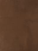 Product color L-1001-04 image