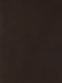 Product color L-1001-09 image