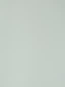 Product color PF8001-06 image