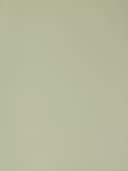 Product color PF8001-07 image