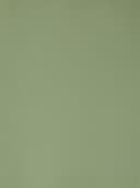 Product color PF8001-09 image