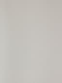 Product color PF8001-28 image