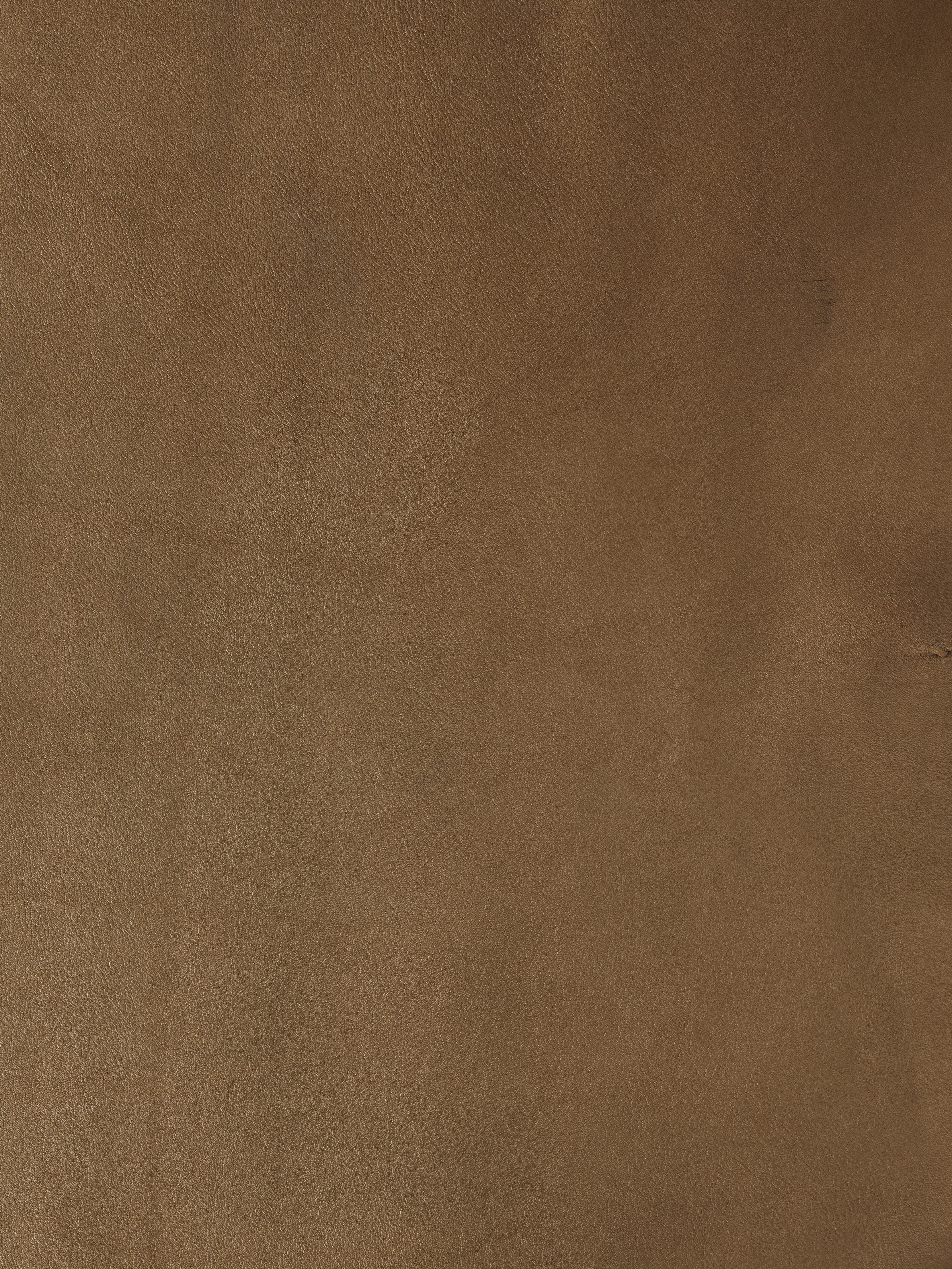 Product L-1002-02 image