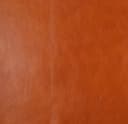 Product color L-1008-22 image