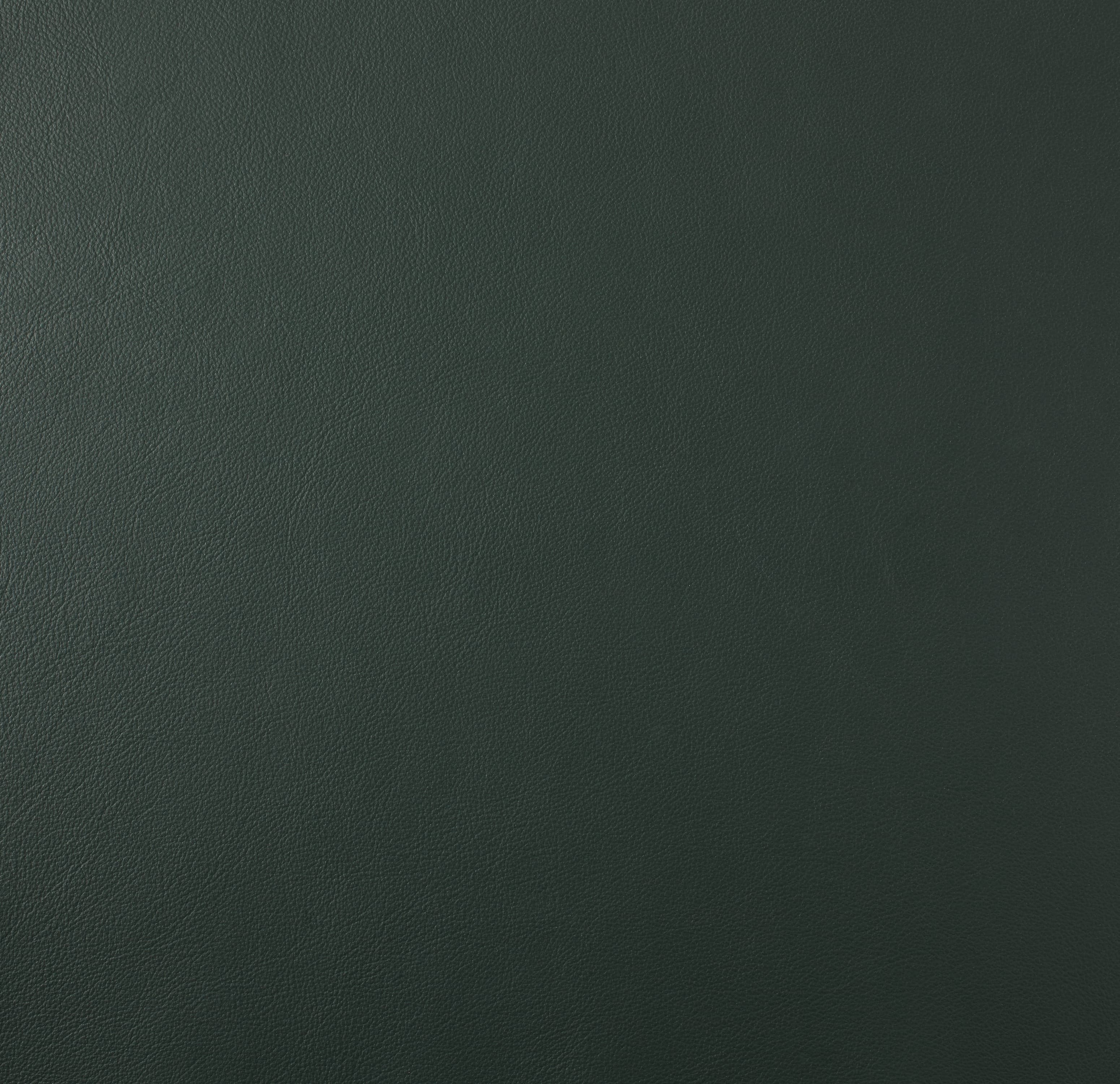 Product PF8001-08 image