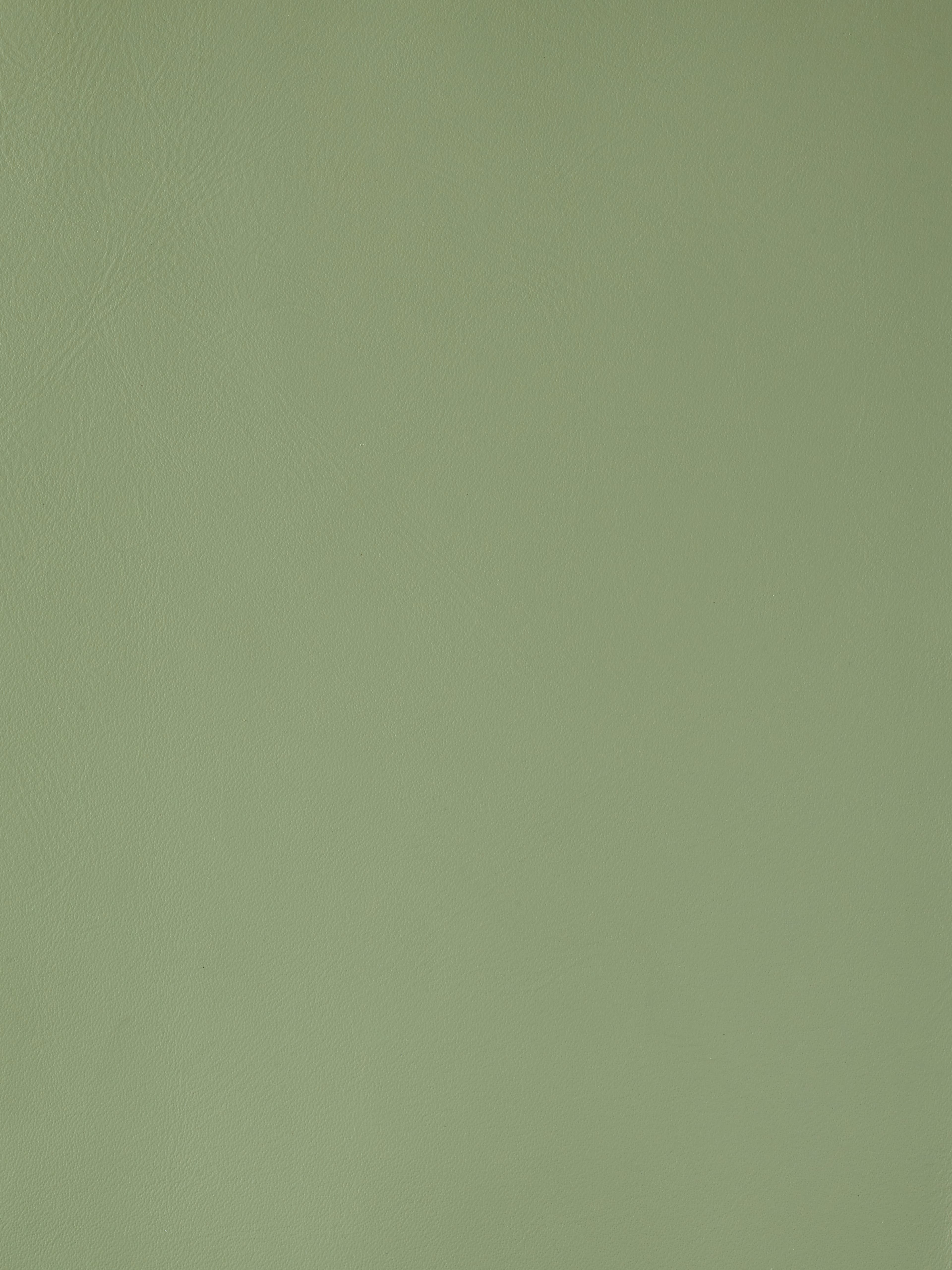 Product PF8001-09 image